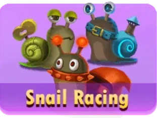 Snail Racing